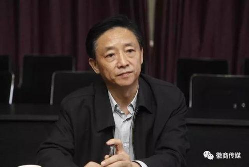 梅德林,探寻南美秘境的绿色奇迹