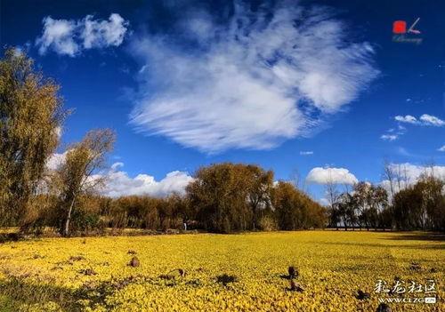 碧云天,探寻自然奇观与人文情怀的交融之地