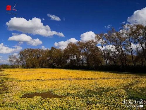 碧云天,探寻自然奇观与人文情怀的交融之地