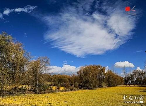 碧云天,探寻自然奇观与人文情怀的交融之地