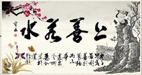 万物为契,探索自然与人类智慧的交融之旅