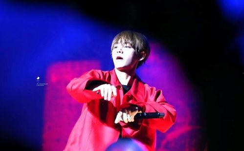 顶级练习生！夫人要出道,梦想与现实的交织