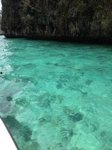 惊险之旅（国语版）,心跳加速的冒险之旅全程回顾