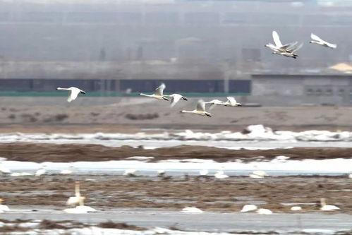 梦醒后往昔再无她,往昔情缘随风散