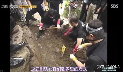 韩国雨衣杀手：全面追缉柳永哲,全面追捕与真相揭秘