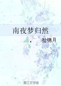 锦月之夜,浪漫月色下的诗意邂逅